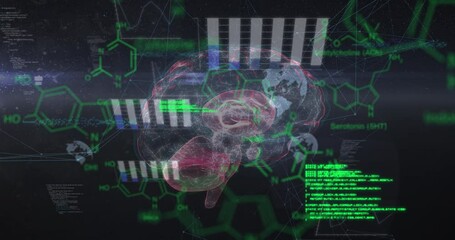 Animation of chemical formulas and data processing over rotating brain on black background - Powered by Adobe