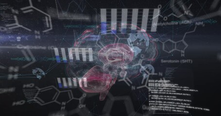 Animation of chemical formulas and data processing over rotating brain on black background - Powered by Adobe