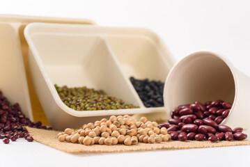 Organic soybean is an ingredient in plant based as a healthy and vegetarian food