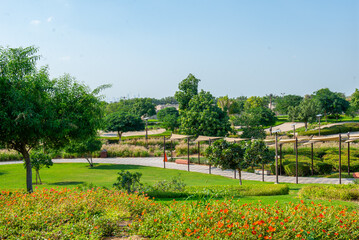 Obraz premium very beautiful green azone in Dubai Zoo