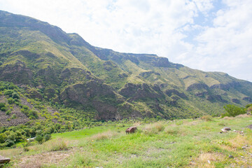 beautiful mountains in georgia and greenery in summer