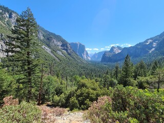 Fototapeta na wymiar Yosemite Valley surrounded by tall cliffs from Tunnel View