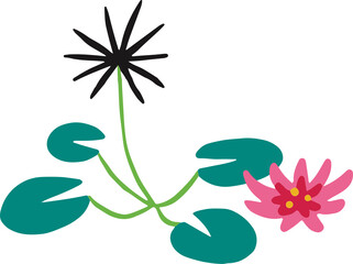 Tropical Plant Leaves