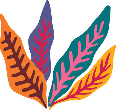 Tropical Plant Leaves