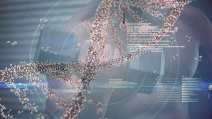 Animation of dna strand spinning over data processing and exercising strongman - Powered by Adobe