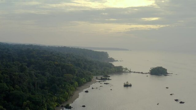 Pacific Coast With Rainforest