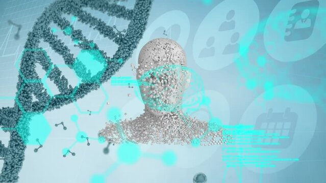 Animation of dna and diverse data processing over human model on blue digital background