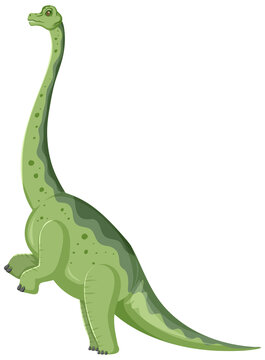 A dinosaur brachiosaurus on white background