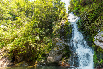 Waterfalls flowing at Wentworth Valley in Coromandel Peninsula, New Zealand