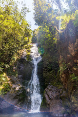 Fototapeta na wymiar Waterfalls flowing at Wentworth Valley in Coromandel Peninsula, New Zealand