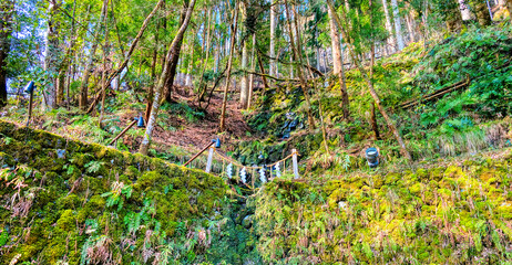 京都、貴船神社の湧き水