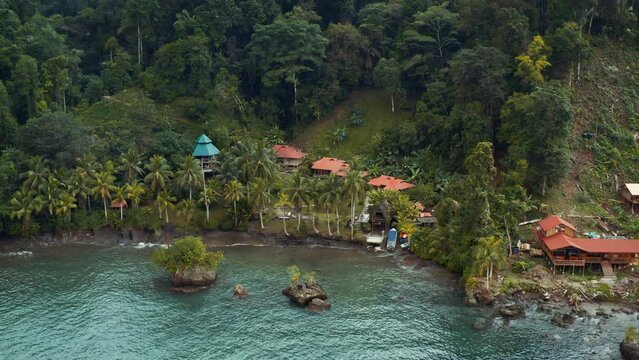 Pacific Coast With Rainforest