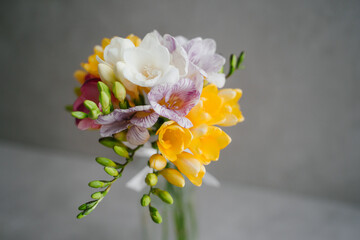 Fragrant bouquet of flowers. Bouquet of freesias. Home decor.