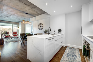 Modern luxury newly built staged furnished apartment in a condominium building in the heart of Montreal on Canal Lachine