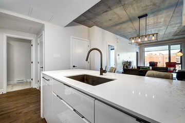 Modern luxury newly built staged furnished apartment in a condominium building in the heart of Montreal on Canal Lachine