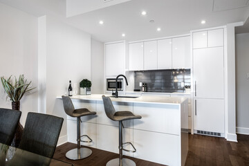 Modern luxury newly built staged furnished apartment in a condominium building in the heart of Montreal on Canal Lachine