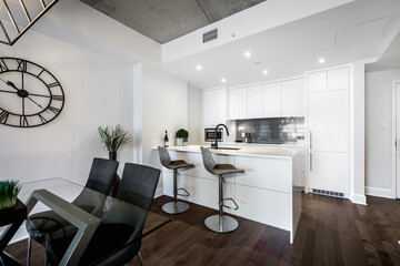 Modern luxury newly built staged furnished apartment in a condominium building in the heart of Montreal on Canal Lachine