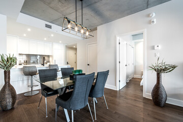 Modern luxury newly built staged furnished apartment in a condominium building in the heart of Montreal on Canal Lachine