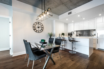 Modern luxury newly built staged furnished apartment in a condominium building in the heart of Montreal on Canal Lachine