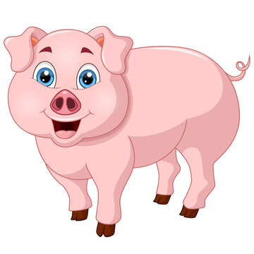 Cute pig cartoon on white background