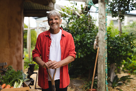 Portrait of happy caucasian mature man with shovel standing by harvested vegetables in backyard