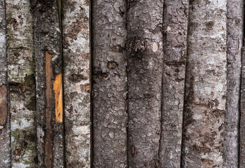 Board on Board wooden fence shows signs of wear and tear, needs to be stained again.