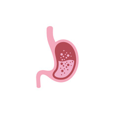 illustration of stomach,human digestive organs, vector art.