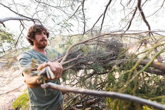 Handsome young bearded male caucasian wanderer collecting firewood in forest