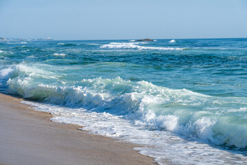 Surfers' Paradise 강릉 해변