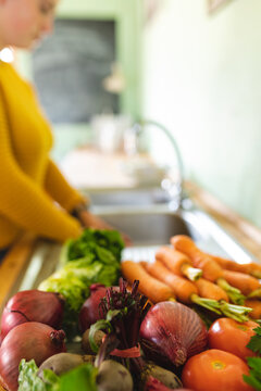 Close-up of fresh organic vegetable variations on kitchen counter with young woman using sink