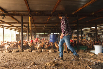 Young male farmer walking while by flock of hens in pen at organic farm