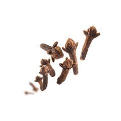 Clove seasoning levitates on a white background