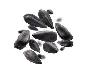 Sunflower seeds levitate on a white background