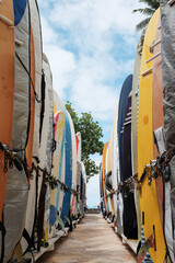 Colorful Surf Boards on Rack for Rental at Waikiki Beach © BRIAN
