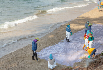 Rayong, Thailand - February 1, 2022: Volunteers cleaning sea shore from the oil spill incidents in...