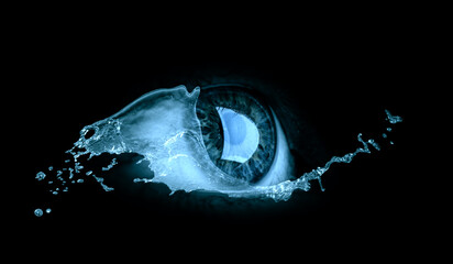 Macro image of human eye