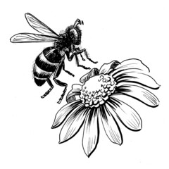 Ink black and white drawing of a flying bee and blossoming flower