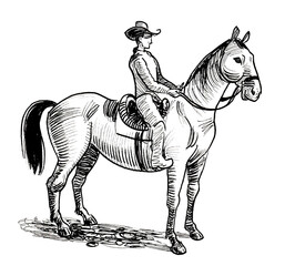 Cowboy riding a horse. Ink black and white drawing