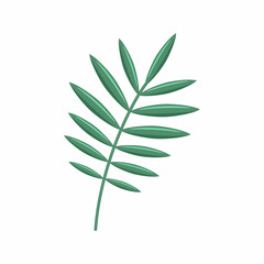 Green palm branch on a white background