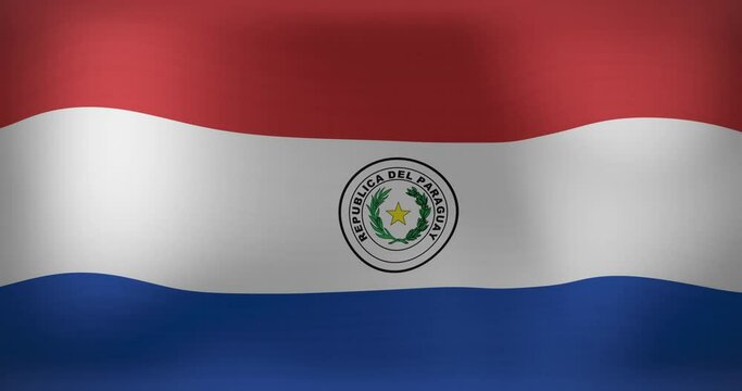 Animation of waving flag of paraguay
