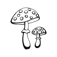 Hand drawn mushroom outline. Line art style isolated on white background.