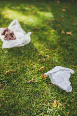 plastic bags and litter abandoned on green lawn, respecting the environment and avoiding single-use plastic