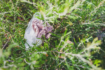 Obraz premium plastic bags and litter abandoned in nature among beautiful plants, respecting the environment and avoiding single-use plastic