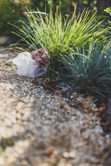 plastic bags and litter abandoned in nature among beautiful plants, respecting the environment and avoiding single-use plastic