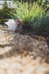 plastic bags and litter abandoned in nature among beautiful plants, respecting the environment and avoiding single-use plastic