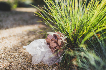 plastic bags and litter abandoned in nature among beautiful plants, respecting the environment and avoiding single-use plastic