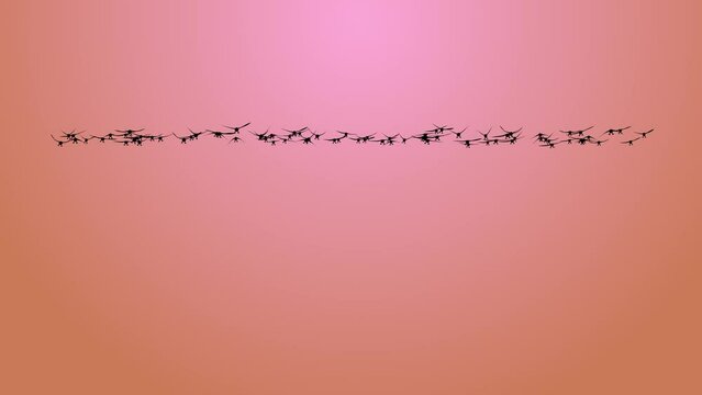 Beautiful flock of birds flying in the blue sky. Flying birds in the sky Loop Bacground. Animals travel. flock of migratory birds flying. Beautiful blue sky with clouds. Birds in flight in summer.
