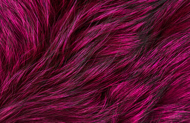 Fototapeta premium Natural fur texture, trendy color, flat lay closeup