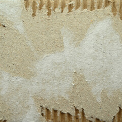 torn brown carton box texture background