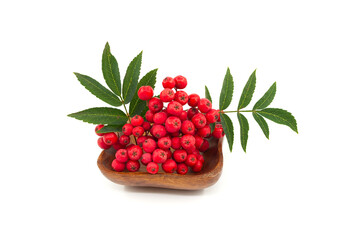 Rowan berry on a wooden plate over a white